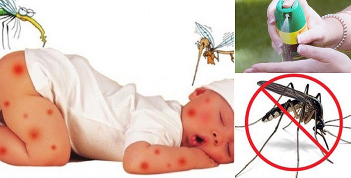 Chúng ta có nên ngăn chặn muỗi bằng thuốc xịt muỗi?