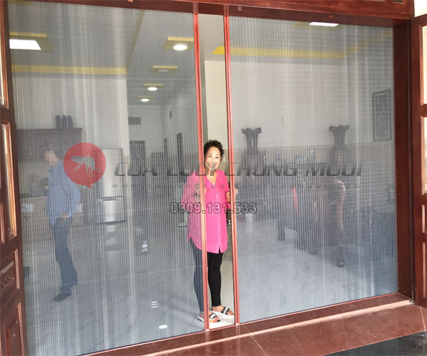 phòng bệnh do côn trùng cắn vào mùa mưa phòng bệnh do côn trùng cắn vào mùa mưa