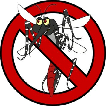 Cửa lưới chống muỗi công cụ hữu ích trong việc ngăn ngừa bệnh sốt xuất huyết