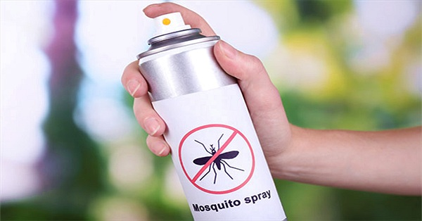 Cửa lưới chống muỗi công cụ hữu ích trong việc ngăn ngừa bệnh sốt xuất huyết