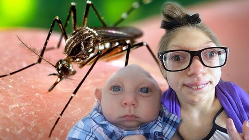 Muỗi – kẻ thù cần phải tiêu diệt