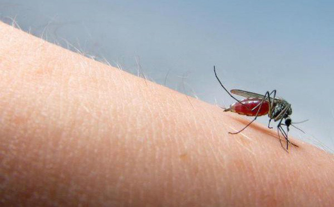 Những nguyên nhân khiến bạn bị muỗi đốt nhiều hơn người khác