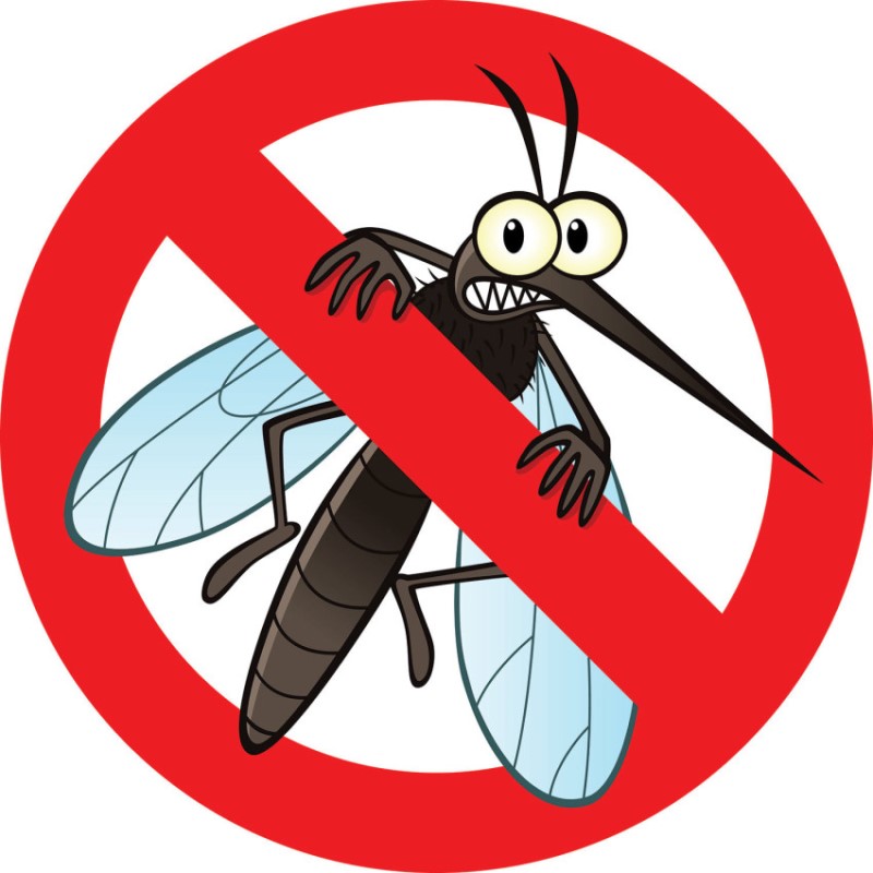 Tại sao phải chịu đựng những con muỗi đáng ghét khi đã có lưới chống muỗi?