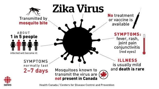 Virus Zika đáng sợ như thế nào?