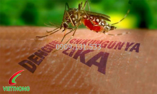 những điều cần biết về virus Zika những điều cần biết về virus Zika
