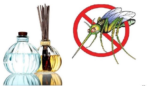 1001 quan điểm sai lầm về việc phòng chống muỗi