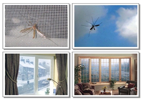3 sản phẩm cửa lưới chống muỗi không thể thiếu cho gia đình