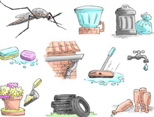 Cửa lưới chống muỗi bảo vệ sức khỏe gia đình bạn