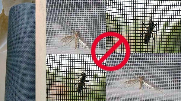 Cửa lưới chống muỗi cố định ngăn ngừa muỗi