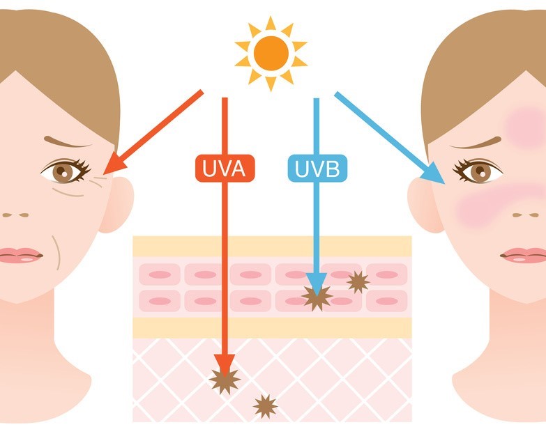 Cửa lưới chống muỗi có thể ngăn chặn tia UV có trong ánh sáng mặt trời