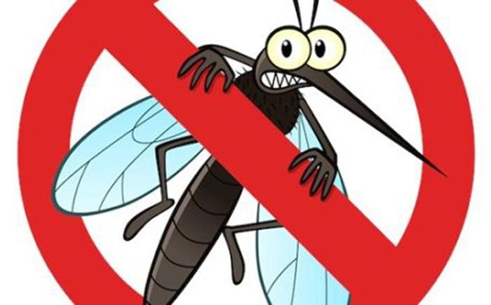 Những sự thật nên biết về loài muỗi