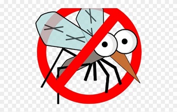 Cần làm gì để tránh côn trùng xâm nhập vào ngôi nhà của bạn