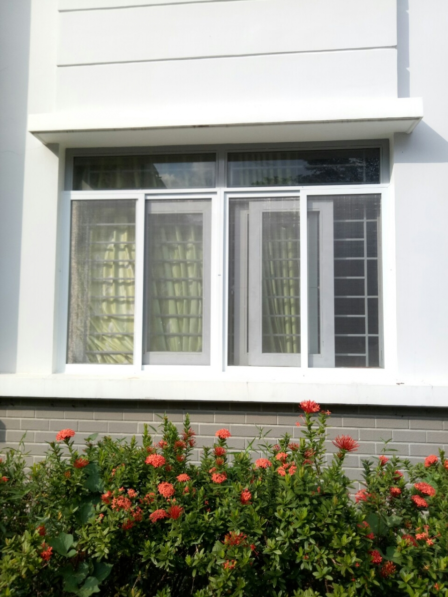 Cửa lưới chống muỗi nào thích hợp cho cửa sổ