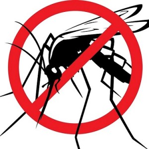 5 lý do hàng đầu để lắp đặt cửa lưới chống muỗi dạng xếp