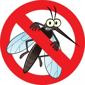 Cửa lưới chống muỗi giải pháp chống muỗi và côn trùng vào nhà hiệu quả