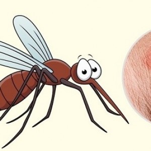 Mách nhỏ mẹo phân biệt các vết côn trùng cắn