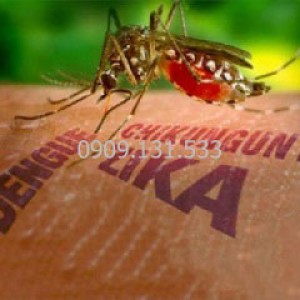 Những điều cần biết về virus Zika