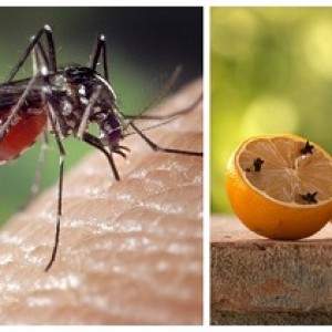 Những lưu ý để sử dụng cửa lưới chống muỗi mở lâu bền