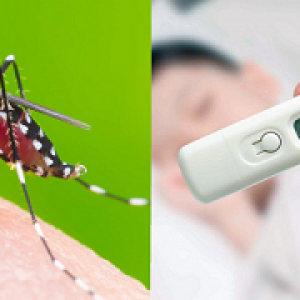 Những phương pháp chống muỗi tại nhà hiệu quả