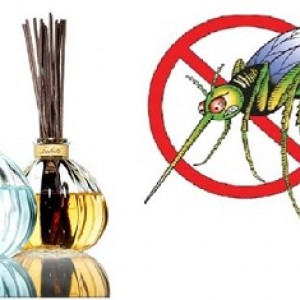 Những quan niệm sai lầm về phòng tránh muỗi