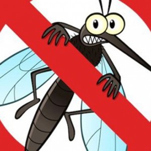 Top những cách phòng tránh và đuổi muỗi dành cho các hộ gia đình