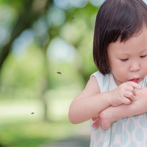Vì sao nên lắp đặt cửa lưới chống muỗi cho trẻ nhỏ?